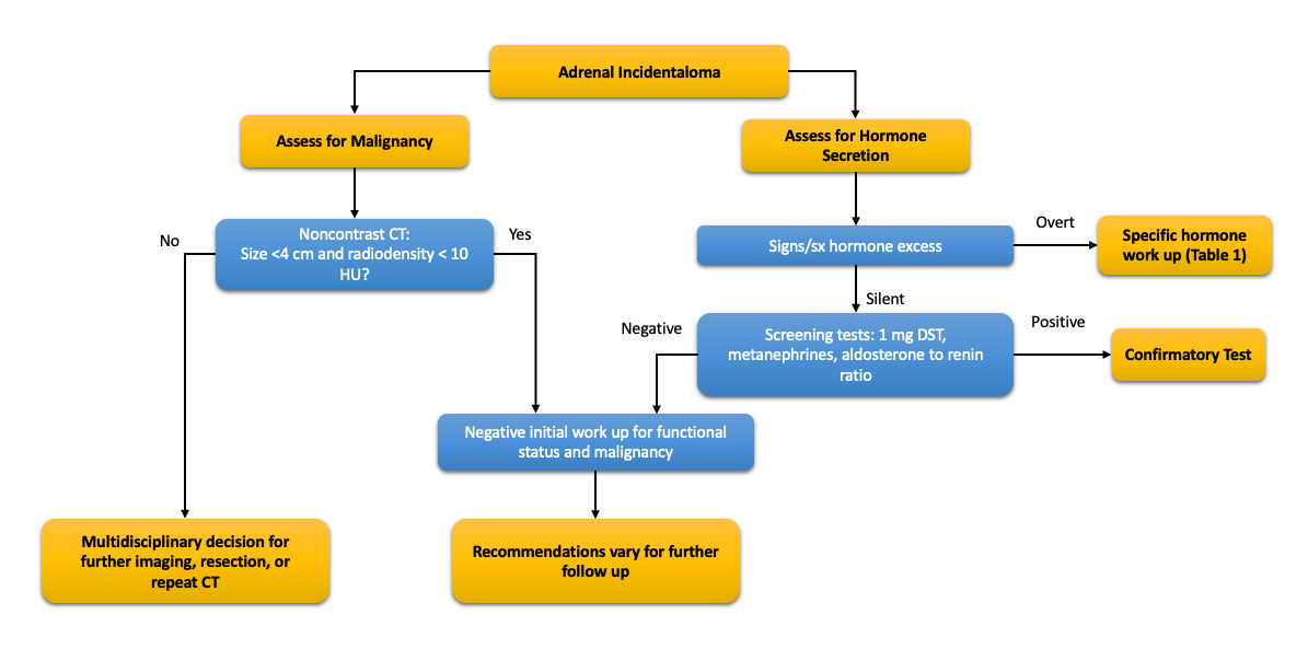 Adrenal Incidentaloma A Review for Primary Care Consultant360